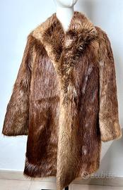 Pelliccia castoro selvatico