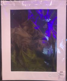 Passepartout in cartoncino