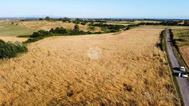 TER. AGRICOLO A ANGUILLARA SABAZIA