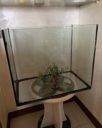 Acquario per pesci o tartarughe