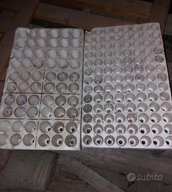 Contenitori polistirolo per semina (semenzai)