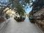 Immagine 24