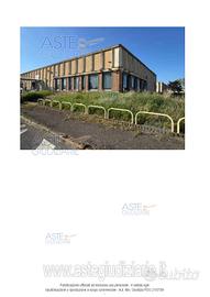 Attività Commerciale Bibbona [A4340465]