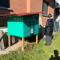 Casetta galline