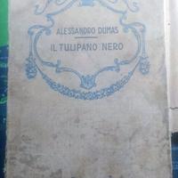 Libro Il Tulipano Nero - A. Dumas - Edizione 1930