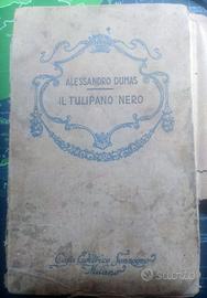 Libro Il Tulipano Nero - A. Dumas - Edizione 1930
