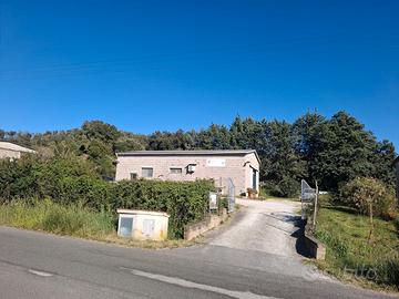 Capannone zona artigianale valpiana - massa m.ma