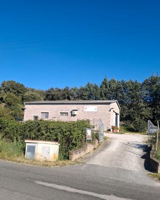 Capannone zona artigianale valpiana - massa m.ma