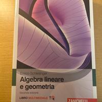 Algebra lineare e geometria - Enrico Schlesinger