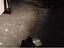 Immagine 11