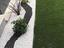 Immagine 18