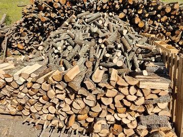 Legna da Ardere X autunno - inverno 2026