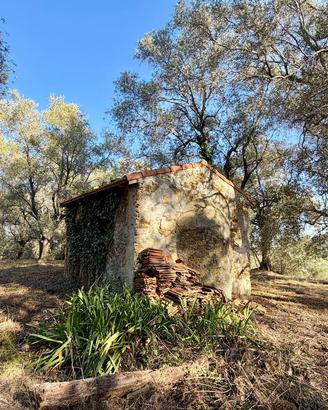TER. RESIDENZIALE A CIPRESSA