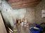 Immagine 19