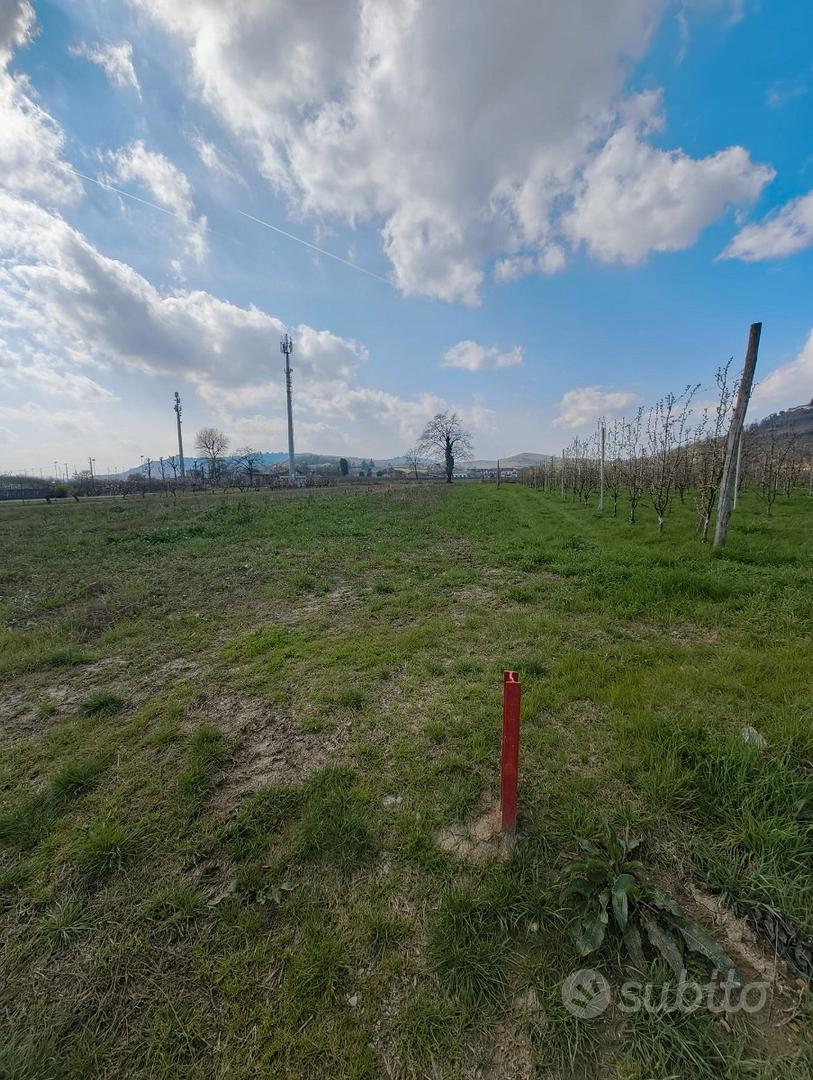 Terreni agricoli - Magliano Alfieri - Vista 2