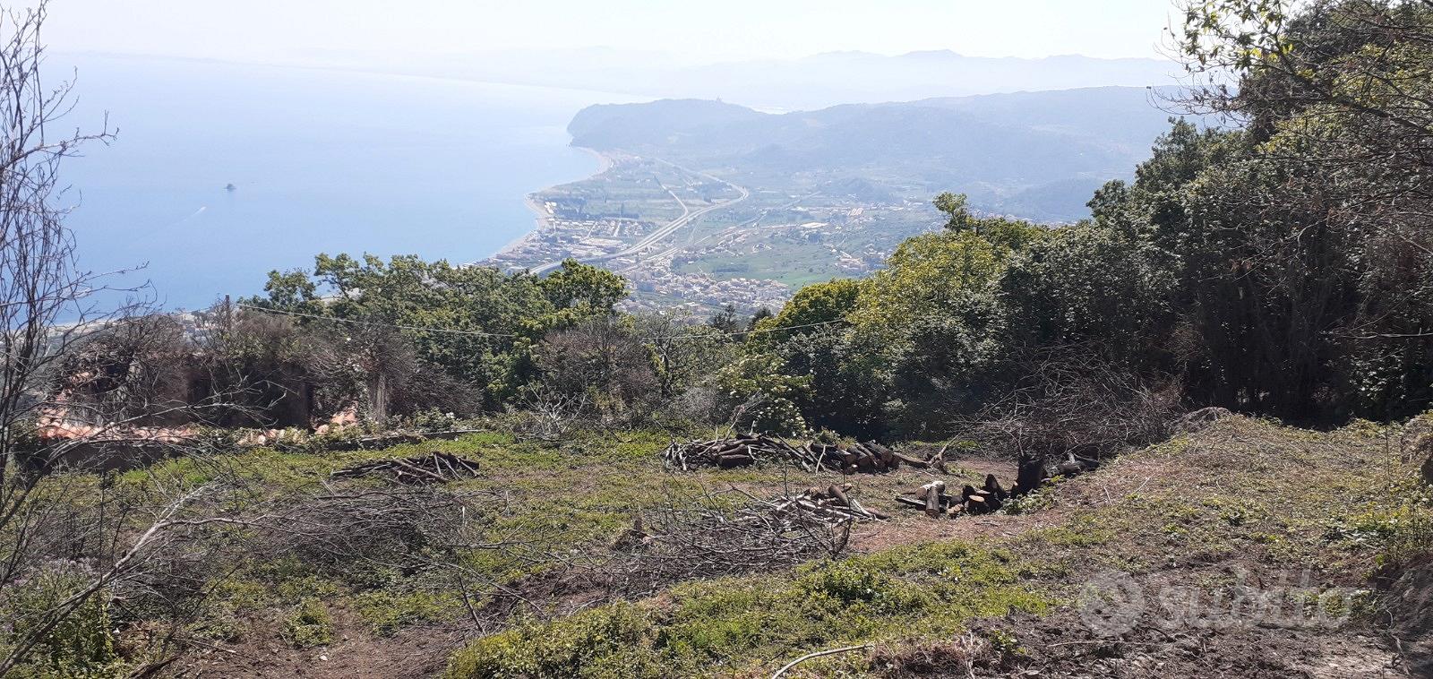 Rudere e Terreno - Vista 4