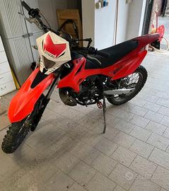 Beta 50 RR completamente revisionata