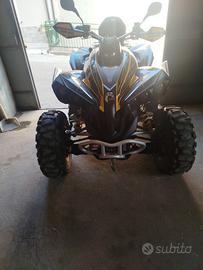 Can-Am Altro modello - 2010