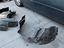 Immagine 30