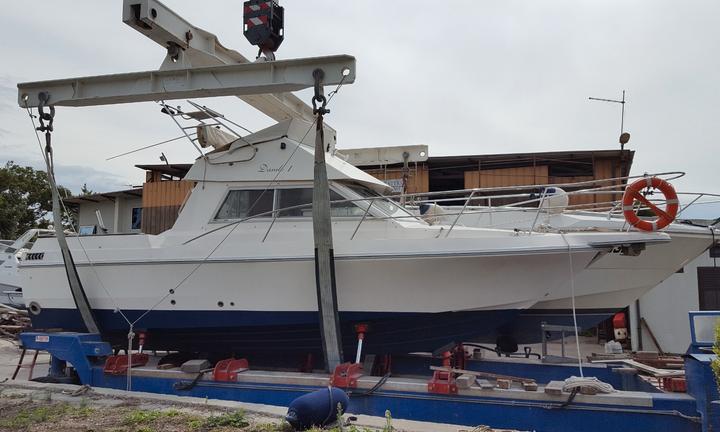 Barca ARCOA 880 FISHING FLY