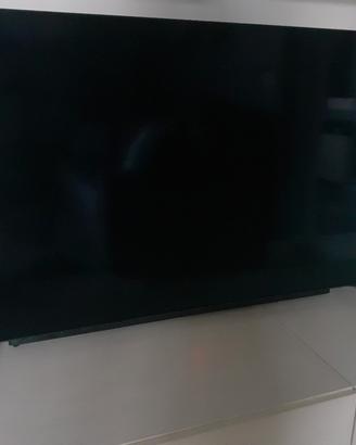 TV OLED LG 55 POLLICI  ANCHE COME RICAMBIO 