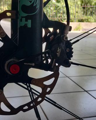 Bianchi Methanol sx 29