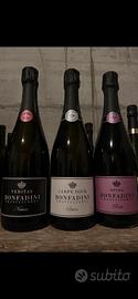 Vino bottiglie franciacorta