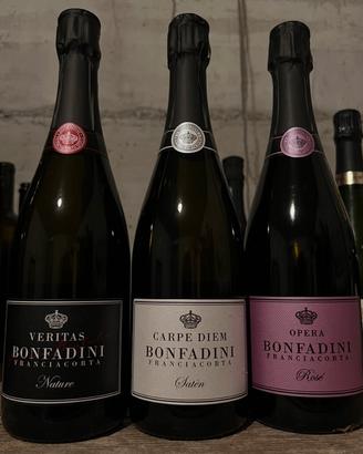 Vino bottiglie franciacorta