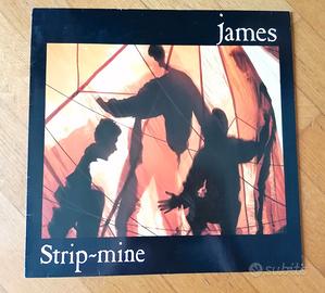 VINILE ORIGINALE JAMES