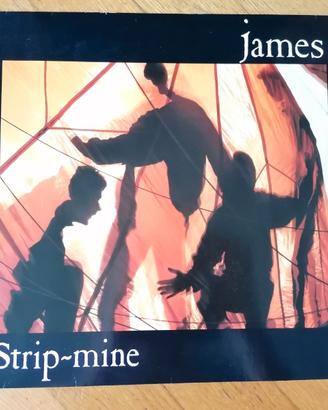VINILE ORIGINALE JAMES
