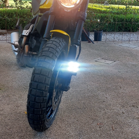 Ducati Scrambler 800 icon