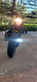 Ducati Scrambler 800 icon