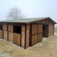 box cavallo scuderia in legno spessoe 60mm