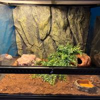 Terrario completo exo terra