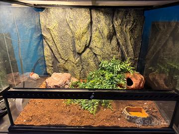 Terrario completo exo terra