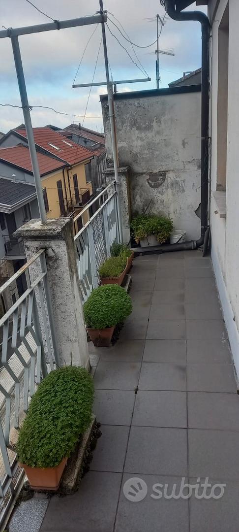 Apartment in Cittanova - Vista 4