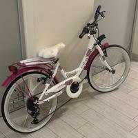 bicicletta ruote 20