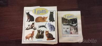 DE AGOSTINI " I GATTI " ED. 2000