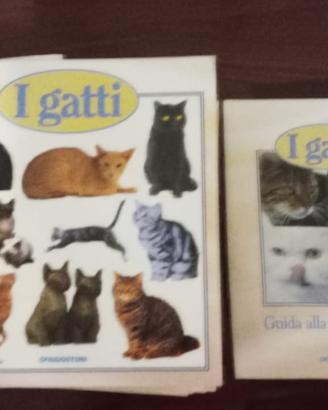 DE AGOSTINI " I GATTI " ED. 2000
