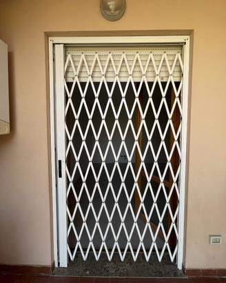 Grata estensibile di sicurezza DIBI