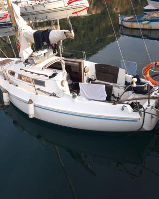 Barca vela