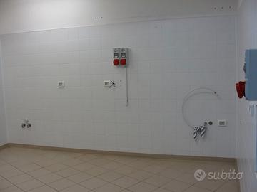 Laboratorio artigianale + appartamento