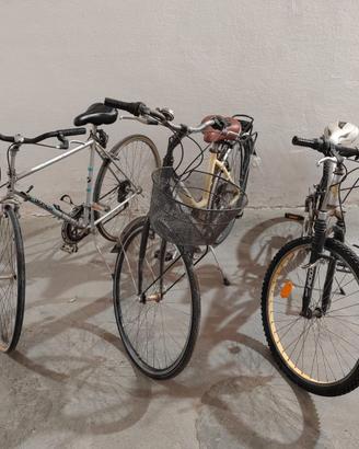 Bicicletta singola o in blocco