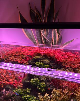 Lampada acquario Chihiros WRGB II PRO
