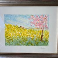 Serigrafia numerata e certificata (vedi foto)