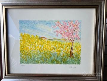 Serigrafia numerata e certificata (vedi foto)