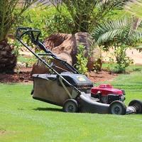 Manutenzione giardino