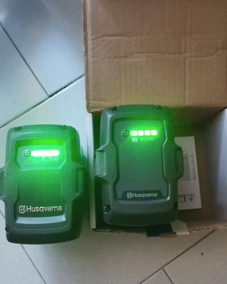 Batterie Husqvarna BLi 300 e BLi 30
