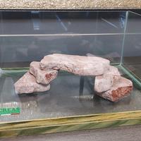 Vasca per pesci o tartarughe