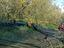 Immagine 5